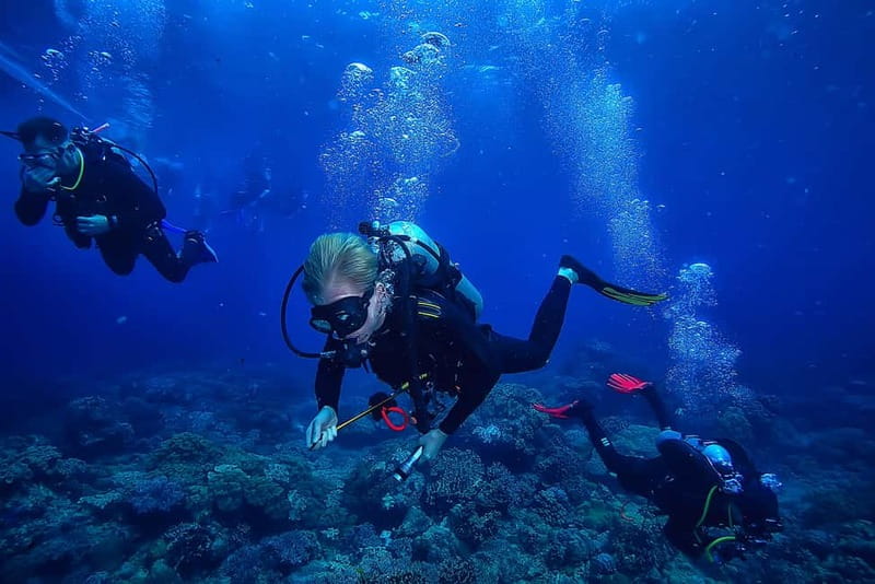 Alanya: Scuba Diving Tour with Lunch and Hotel Transfers - Pickup, Boat Ride, and the Two-Stage Depth Plan