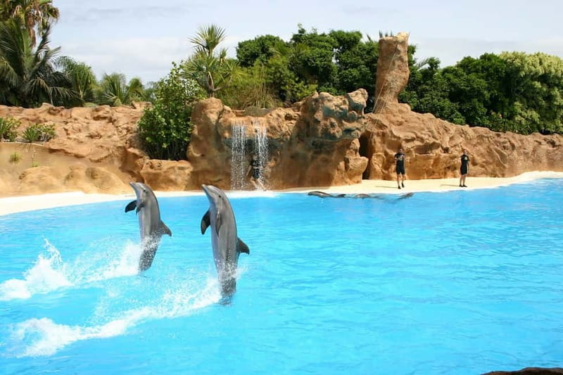 Alanya: Sealanya Dolphinpark Dolphin Show Tour - Key things I’d note before you go