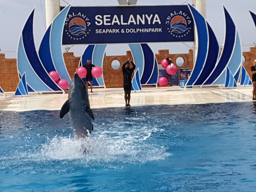Alanya: Sealanya Dolphinpark Dolphin Show Tour - Swim-with-dolphins: what’s included, what costs extra