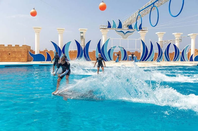 Alanya: Sealanya Dolphinpark Dolphin Show Tour - What to bring and how to avoid day-of surprises