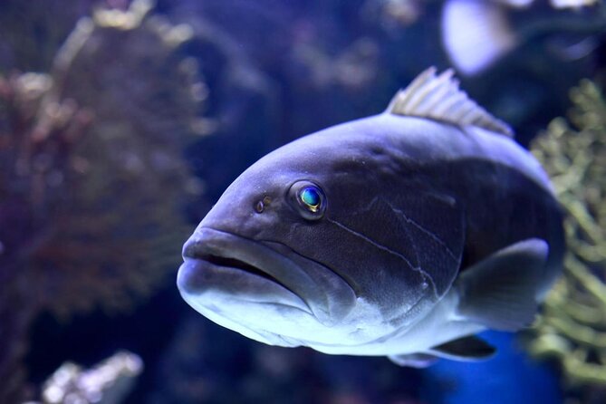 Alexander Waterfall and Antalya Aquarium Day Tour from Side - Key highlights I’d prioritize on this tour