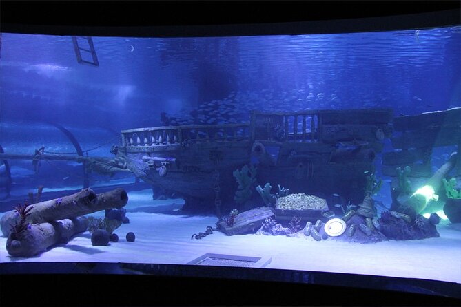 Alexander Waterfall and Antalya Aquarium Day Tour from Side - Why this Side-to-Antalya day trip makes sense