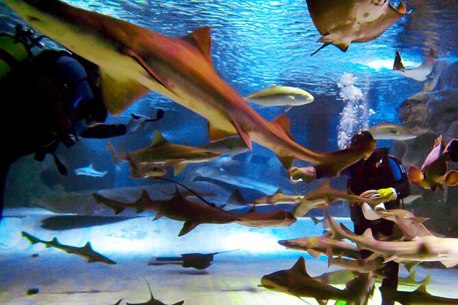 Alexander Waterfall and Antalya Aquarium Day Tour from Side - How the day stays comfortable (7 hours, not endless)