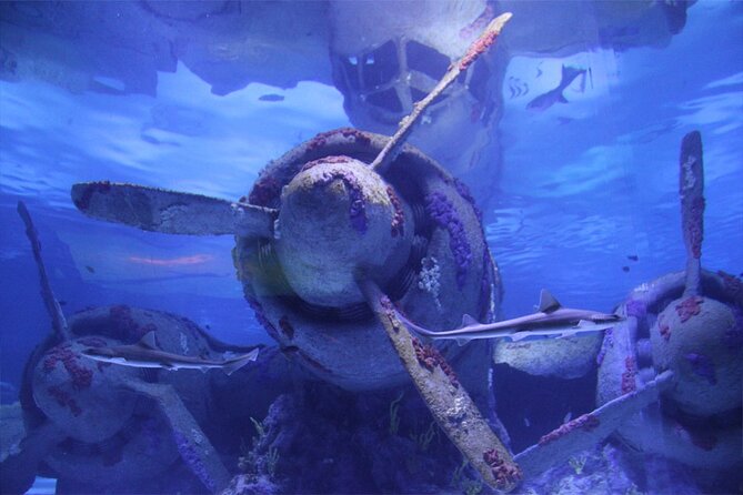 Alexander Waterfall and Antalya Aquarium Day Tour from Side - Getting to Antalya: pickup, start time, and a small-group feel