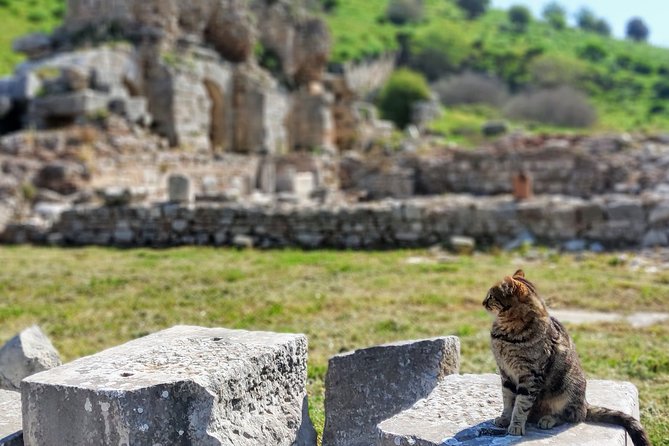 All Inclusive Private Ephesus Day Trip from Istanbul by Plane - Price and logistics: what you’re actually paying for