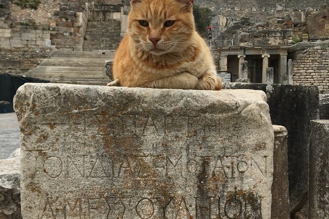 All-İnclusive Private Ephesus Tour from İzmir cesme Port/Hotels - Walking Ephesus with a Local Guide: Celsus, Theater, and Odeon