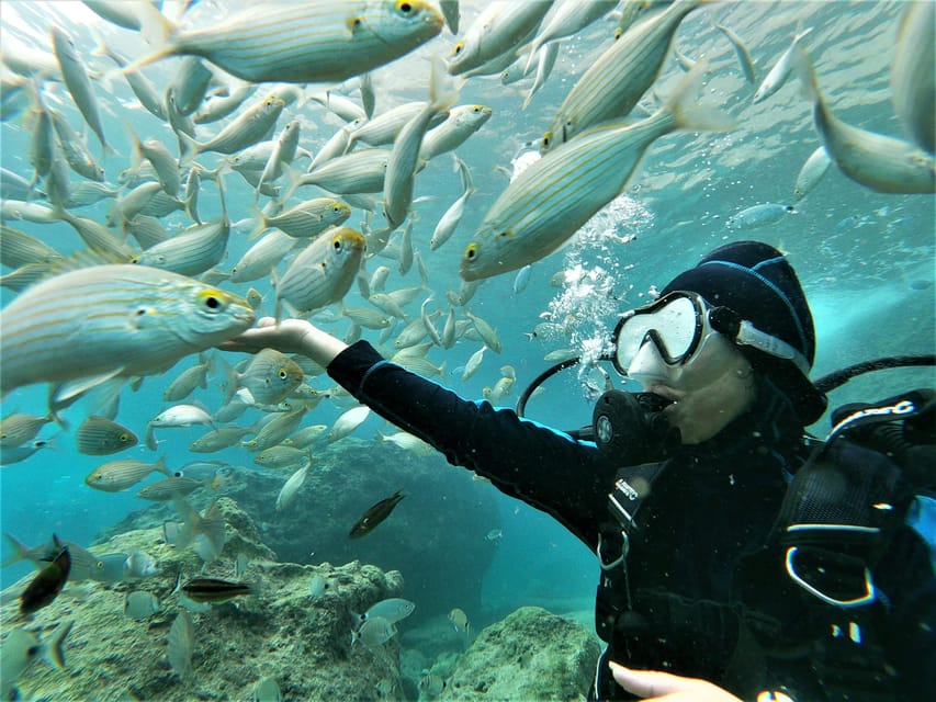 Antalya and Kemer: Full Day Scuba Diving Tour with Lunch - Why Antalya and Kemer’s coast works for your first and your next scuba session