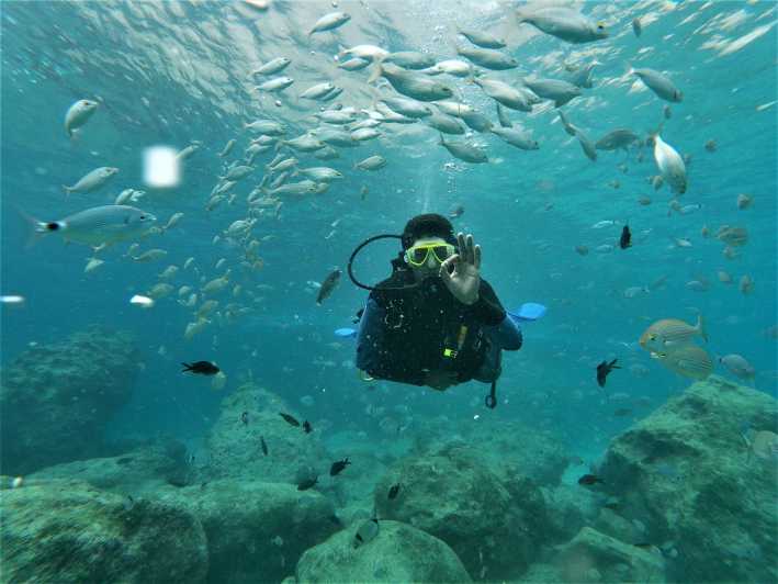 Antalya and Kemer: Full Day Scuba Diving Tour with Lunch - Stop One: shipwreck and reef life on a day that adjusts to conditions
