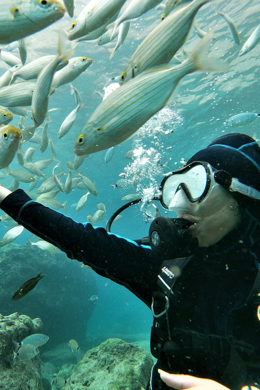 Antalya and Kemer: Full Day Scuba Diving Tour with Lunch - Price check: is $27 really good value for 7–8 hours?