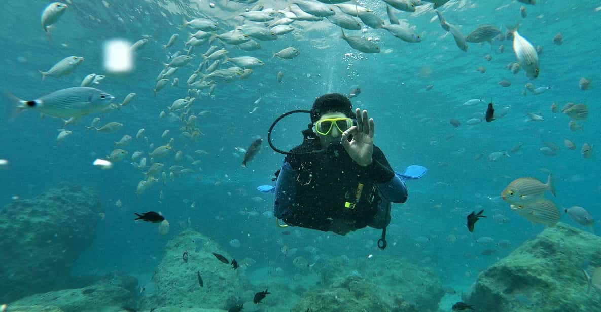 Antalya and Kemer: Full Day Scuba Diving Tour with Lunch - Before you go underwater: safety briefing, gear fit, and beginner support