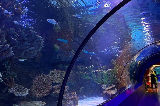 Antalya Aquarium and Face to Face Wax Museum Private Transfer - Plan Your 2–3 Hours: Order, Photo Strategy, and Comfort
