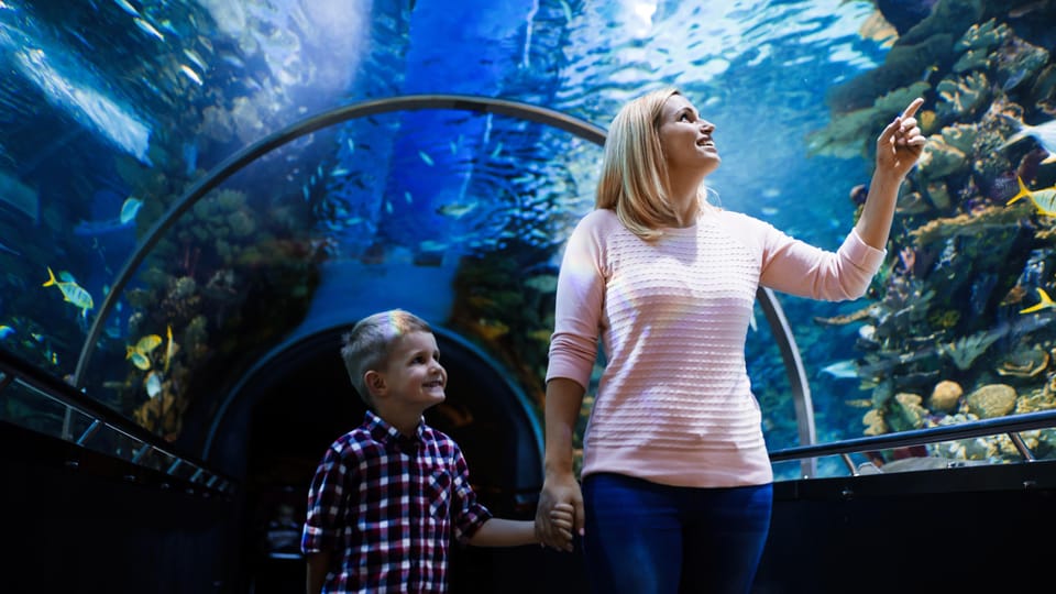Antalya: Aquarium and Wax Museum Entry Ticket - Key things I’d circle before you go