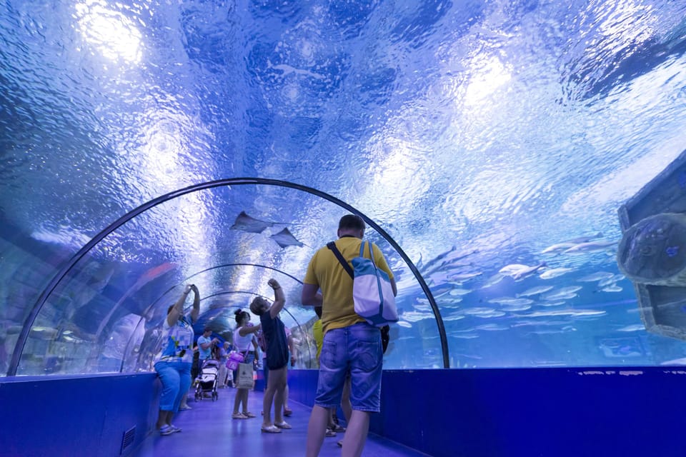 Antalya: Aquarium and Wax Museum Entry Ticket - Price and value: is $47 worth it for most people?