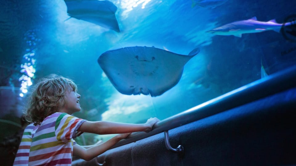 Antalya: Aquarium and Wax Museum Entry Ticket - Thematic zones: Atlantis and the “underwater safari” style layout