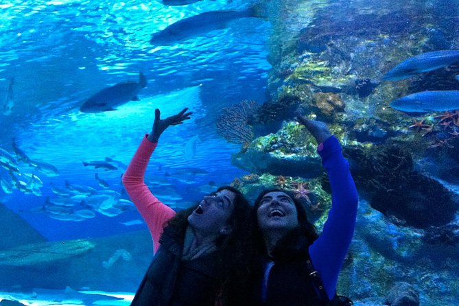 Antalya: Aquarium Ticket With Optional Transfer - Entering and getting oriented: easier than it looks