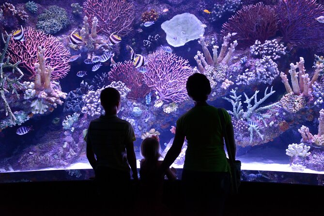 Antalya: Aquarium, Wax Museum & Combo Package Options - A family-friendly combo that keeps your day simple
