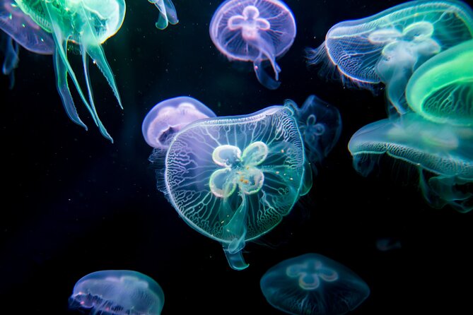Antalya: Aquarium, Wax Museum & Combo Package Options - Combo upgrades and timing: how to choose your 1–4 hour plan