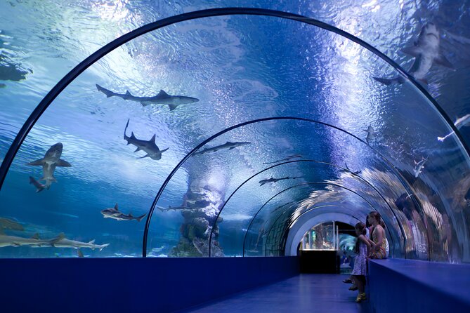 Antalya: Aquarium, Wax Museum & Combo Package Options - Who this works for (and who should skip it)