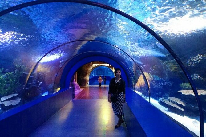 Antalya: Aquarium, Wax Museum & Combo Package Options - Should you book the Antalya Aquarium and Wax Museum combo?