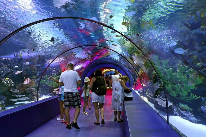 Antalya: Aquarium, Wax Museum & Combo Package Options - Antalya Aquarium: more than tanks, with winter and action-style add-ons