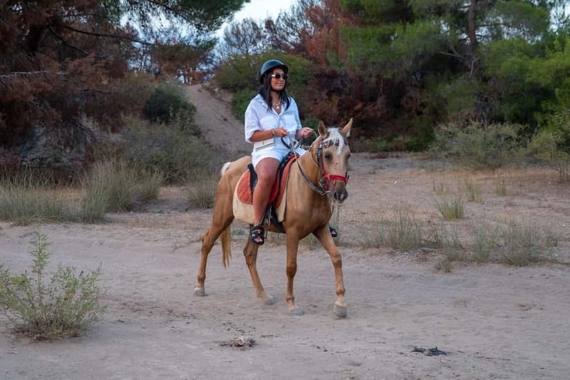 Antalya: Deniz Molalı At Safarisi - Price and value: $32 for a guided two-hour experience