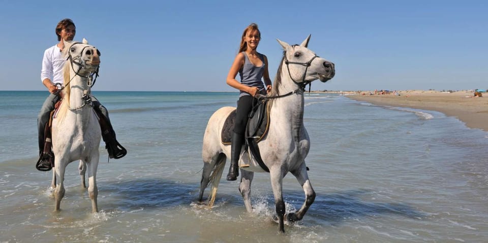 Antalya: Guided ATV and Horse Riding Safari in Lara - Who This Safari Suits Best (and Who Should Skip It)