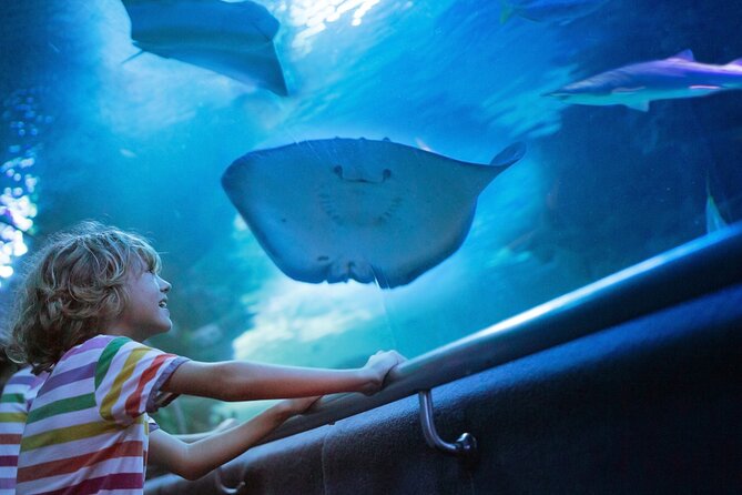 Antalya Half-Day Private City Tour with Aquarium Visit - Pickup, Private Pace, and Logistics That Matter