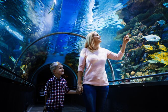 Antalya Half-Day Private City Tour with Aquarium Visit - Antalya Aquarium: The Long Tunnel That Actually Changes How You Watch