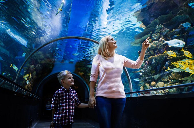 Antalya Half-Day Private City Tour with Aquarium Visit - Price and value: what you’re really paying for at $180.04 per person