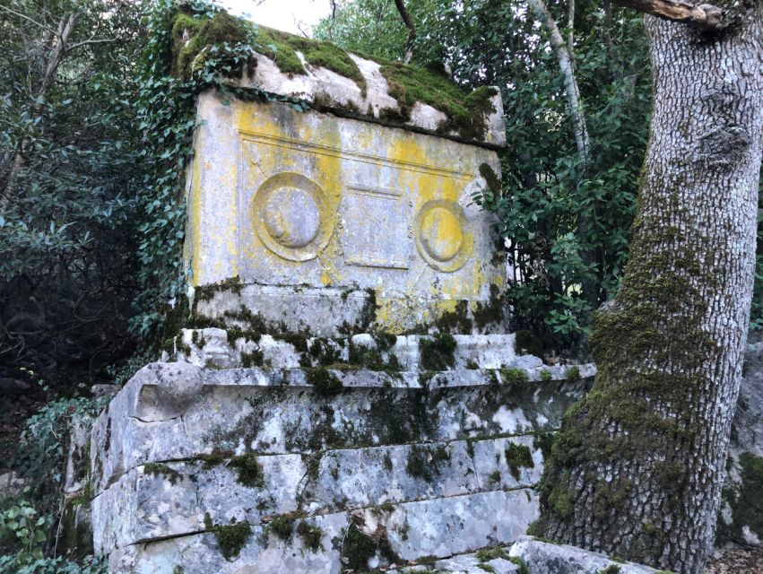 Antalya: Hiking in Termessos Ancient City - Hike reality check at 1,050 m: shoes, water, and pace
