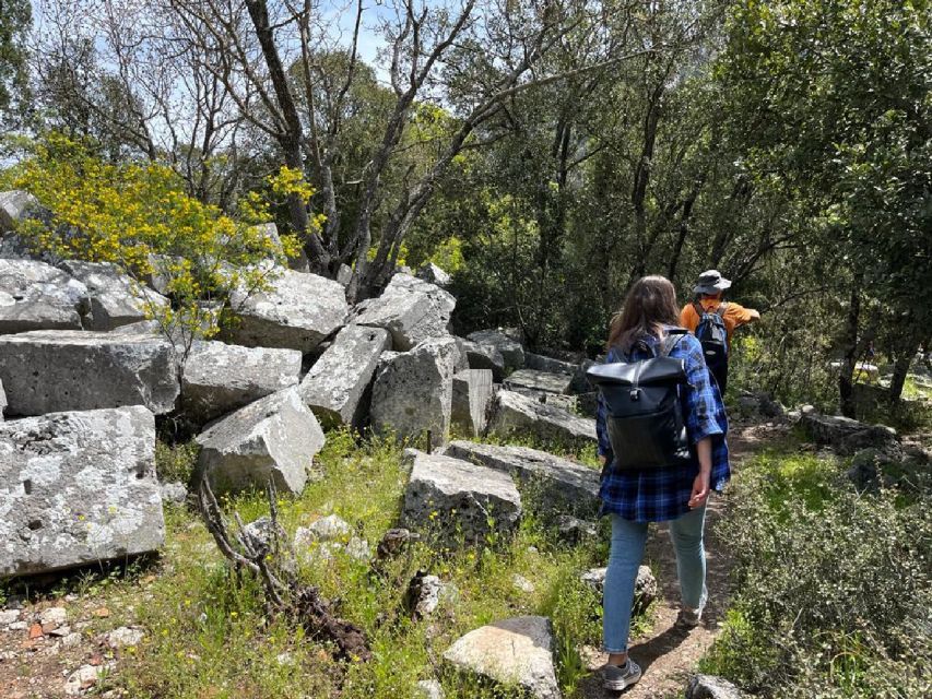 Antalya: Hiking in Termessos Ancient City - Price and logistics: why $62 can be good value here