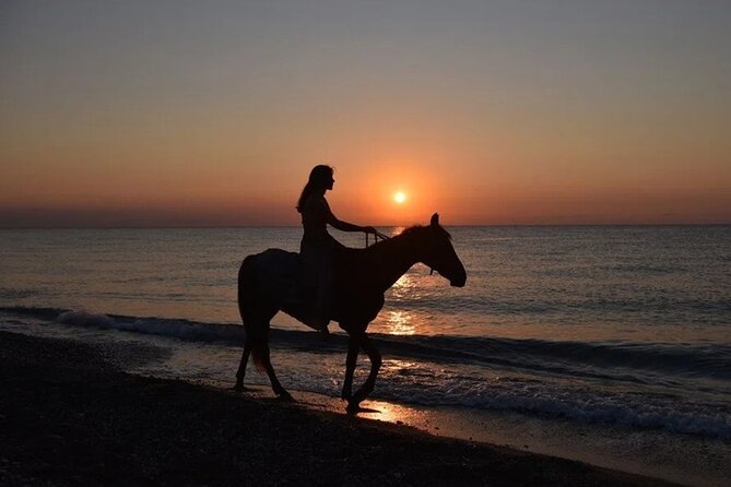 Antalya Horse Riding On Beach And Through The Forests For 2 Hours - Key things to know before you go