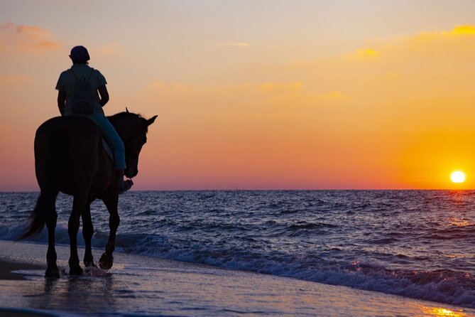 Antalya Horse Riding On Beach And Through The Forests For 2 Hours - Lara Beach horseback riding: why this route works