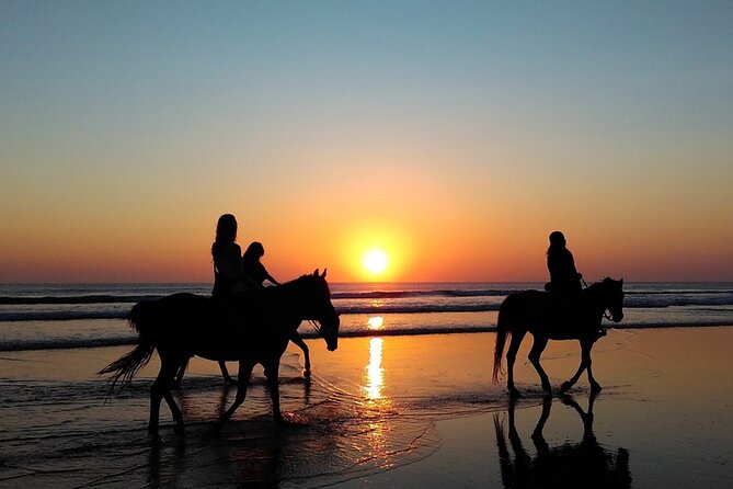 Antalya Horse Riding On Beach And Through The Forests For 2 Hours - Safety equipment and guide rules you should treat like non-negotiables