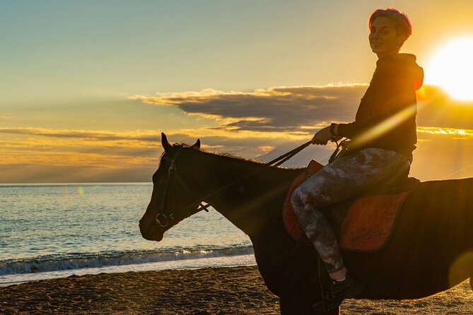 Antalya Horse Riding On Beach And Through The Forests For 2 Hours - Beach and forest segments: comfort tips and a reality check