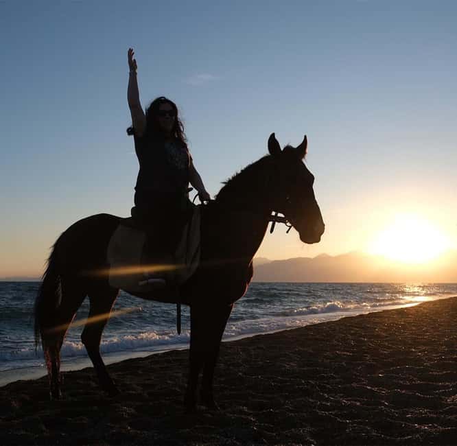 Antalya: Horse Riding on Sea and in the Forest - Should You Book This Antalya Horse Safari?