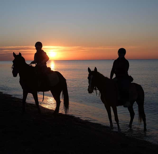 Antalya: Horse Riding on Sea and in the Forest - Forest Segment: Shade, Quick Adjustments, and Plenty of Photo Stops