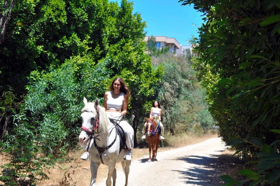 Antalya: Horse Riding on Sea and in the Forest - Desert Air, Riverside Quiet, and the Seaside Finale