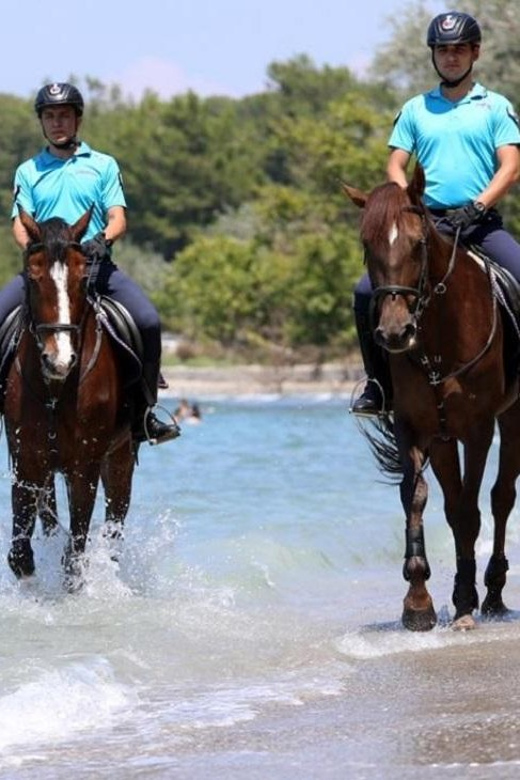 Antalya Horse Safari - Price and value: what $47 covers and what it doesn’t