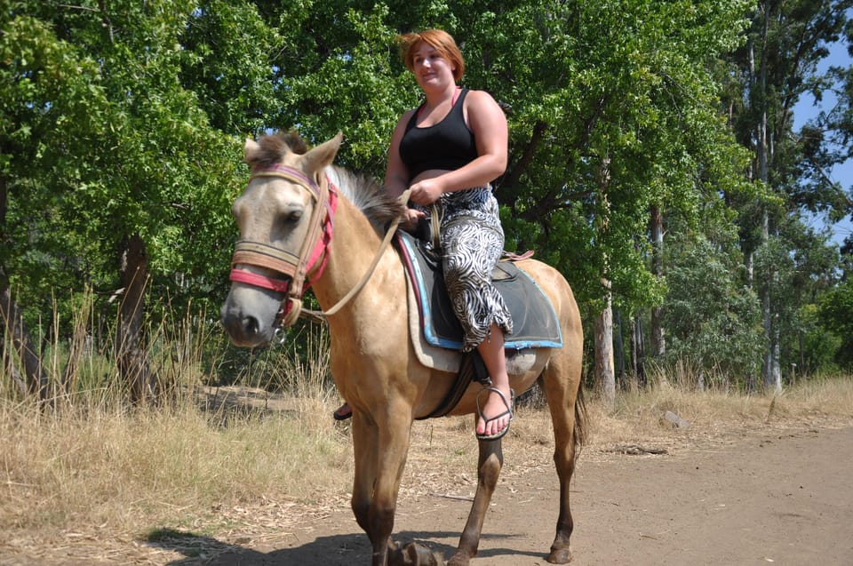 Antalya Horse Safari - Who should book this tour (and who should skip it)
