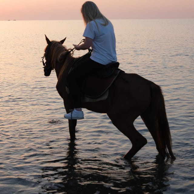 Antalya Horse Safari - The first half: riding through the pine forest (what to expect)
