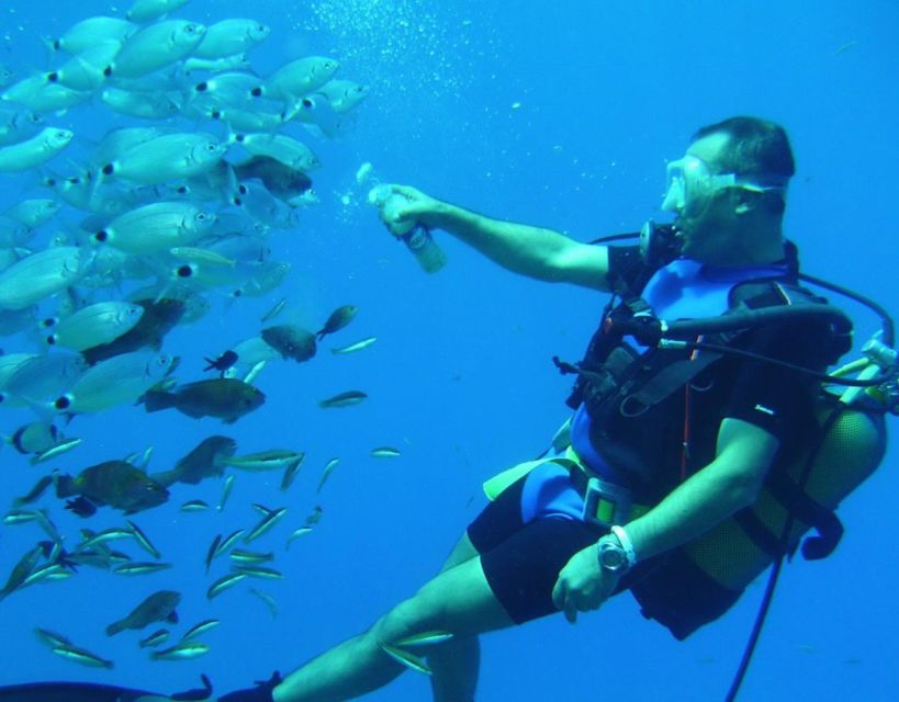 Antalya/Kemer: Scuba Diving with Pickup, Lunch, and 2 Dives - Equipment, Pairing, and the Comfort Factor That Makes It Work