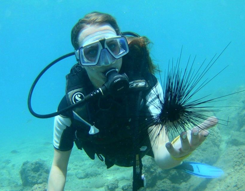 Antalya/Kemer: Scuba Diving with Pickup, Lunch, and 2 Dives - Who Should Book This (and Who Should Skip It)