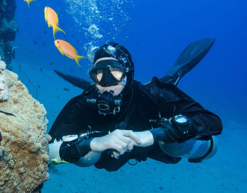 Antalya/Kemer: Scuba Diving with Pickup, Lunch, and 2 Dives - A Few Practical Tips to Make Your Day Better