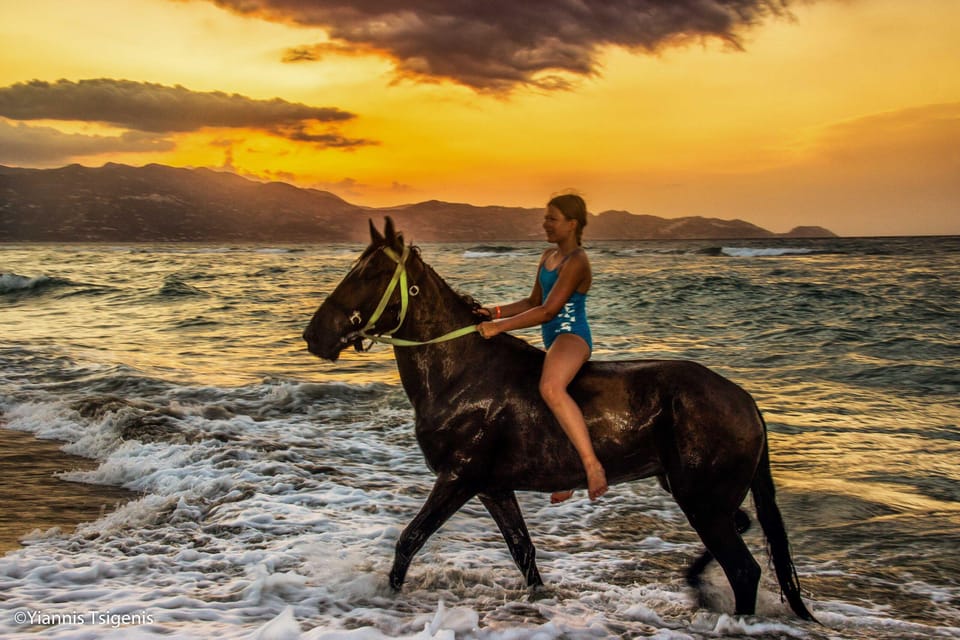 Antalya: Lara Beach & Forrest Horse Riding Safari - The Forest Hour: Peace, Shade, and Learning Your Rhythm