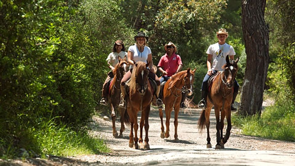 Antalya: Lara Beach & Forrest Horse Riding Safari - Lara Beach Ride: Coastal Views in a Short, Memorable Streak
