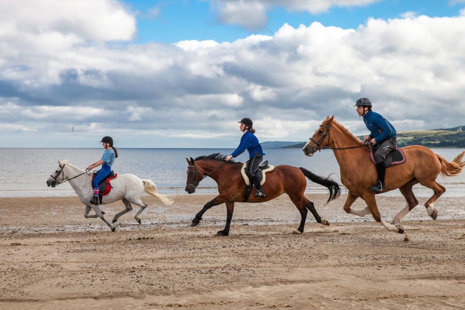 Antalya: Lara Beach & Forrest Horse Riding Safari - Who Should Book This Safari (and Who Might Skip It)