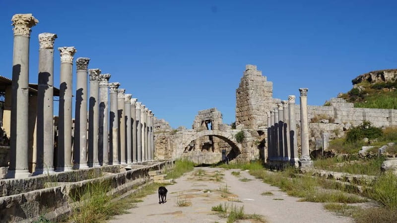 Antalya: Perge Ancient City Tour - Entering Perge: the guide’s job is to help you see the city