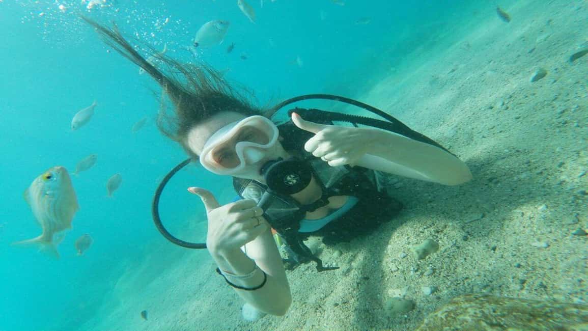 Antalya Scuba Diving Adventure w/Private Expert Diver Option - Aquarium Bay First: Your Starting Underwater Session at Around 5–10 Metres
