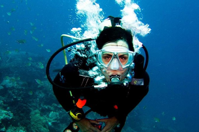 Antalya Scuba Diving at Mediterranean Sea incl. Lunch - Cruise Stops: Tekirova, Phaselis Koyu, and Kemer